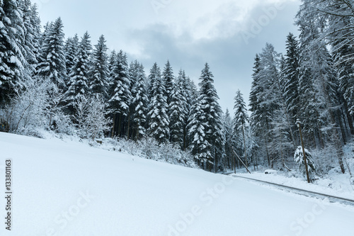 Winterlandschaft Deutschland