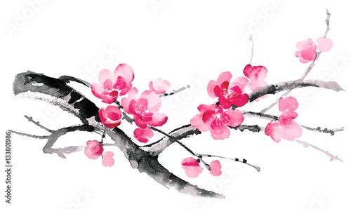 Naklejka na ścianę Atrament ilustracja kwitnących gałęzi wiśni. Styl malarstwa Sumi-e, u-sin, gohua. Sylwetka składa się z pędzla na białym tle.