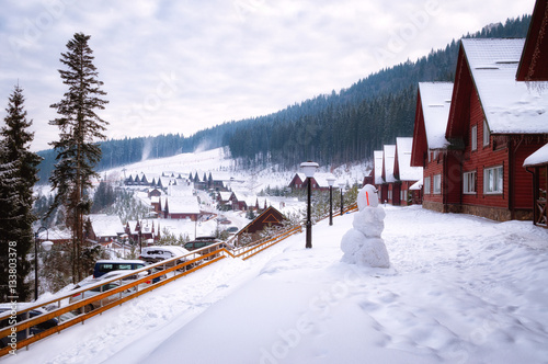 Holiday homes in the ski resort of Bukovel.
