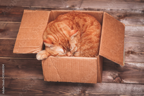 Ginger cat lies in box on wooden background in a new apartment. Fluffy pet is doing to sleep there. Keys to new home .