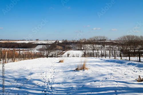 winter landscape © Miroslav Zivkovic
