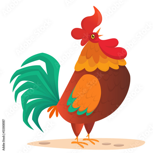 Fat cartoon rooster. Colorful vector illustration of singing rooster