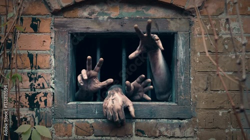 Pair of zombie hands groping through barred window in brick wall photo