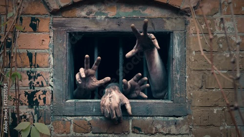 Pair of zombie hands groping through barred window in brick wall