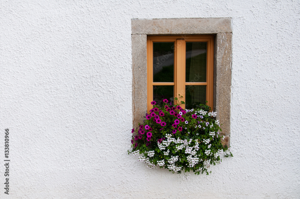 wooden window decorated with pink petunia and white pelargonium
