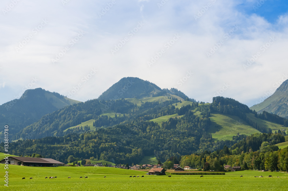 traditional Swiss landscape with wooden houses and the Alps
