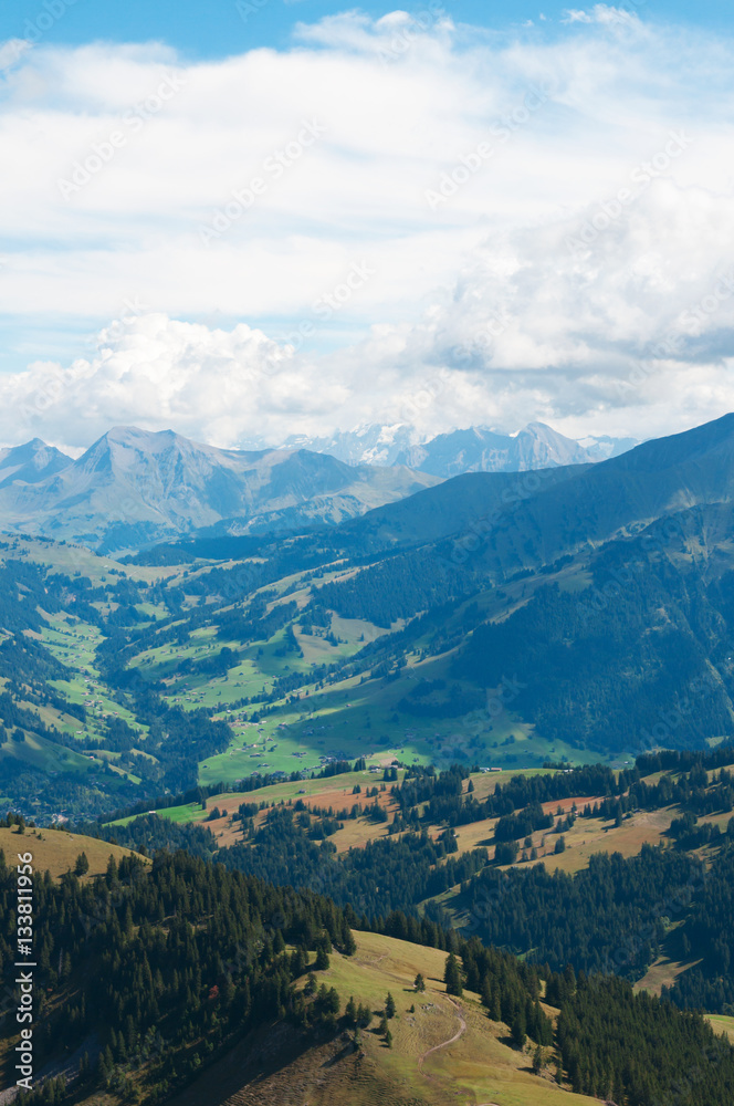 Beautiful view of the Alps in the summer
