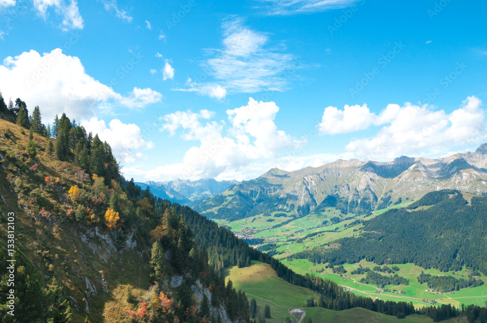 Colorful view of the Alps in the summer