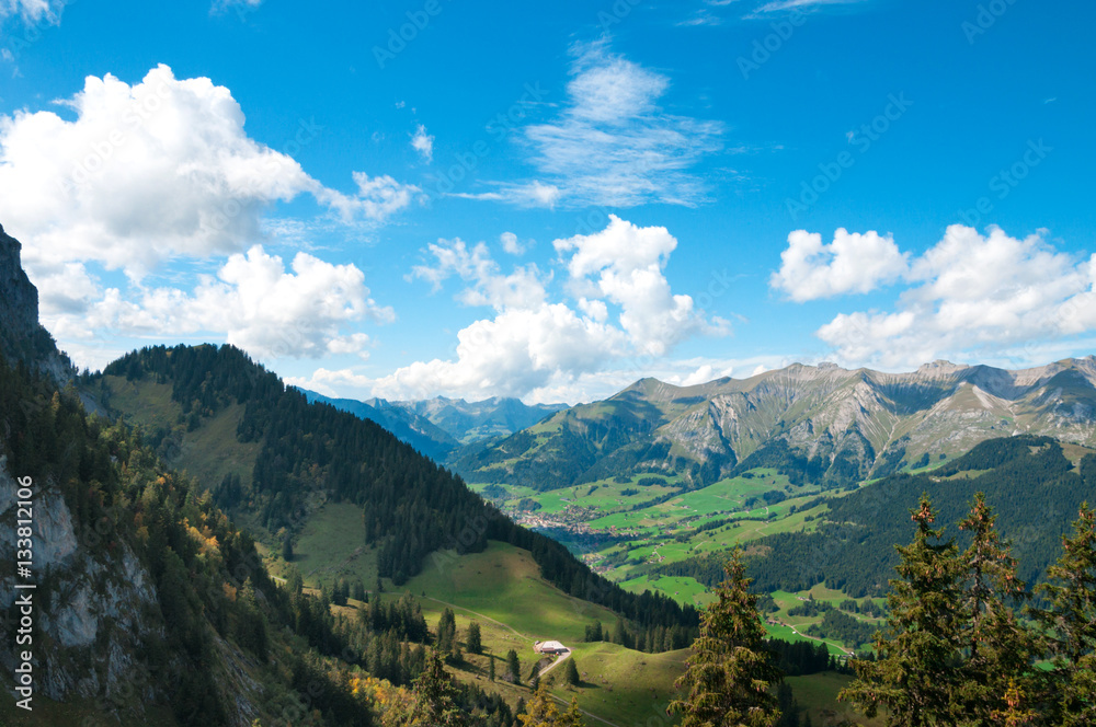 Colorful view of the Alps in the summer Colorful view of the Alps in the summer