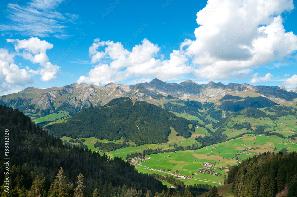 Fototapeta premium Colorful view of the Alps in the summer