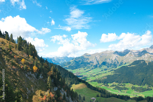 Colorful view of the Alps in the summer