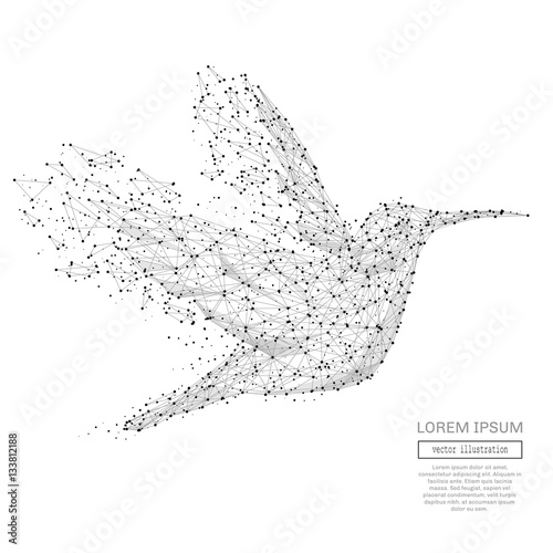 Abstract colibri polygonal, geometry triangle. Light connection structure. Low poly vector background. Connection structure