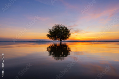 Water and tree sunset in sea photo