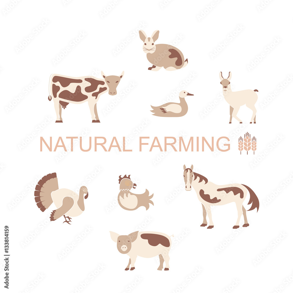 Farm animals icon set. Farming logo and label collection in modern flat design, products banner or flyer. Vector eps10 illustration