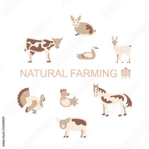 Farm animals icon set. Farming logo and label collection in modern flat design, products banner or flyer. Vector eps10 illustration