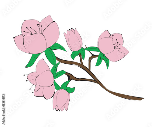 Flowers tree branch