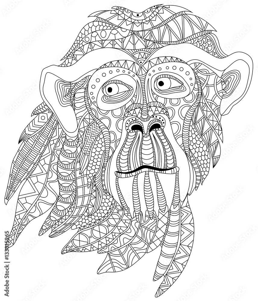 Fototapeta premium Monkey head portrait graphic vector illustration