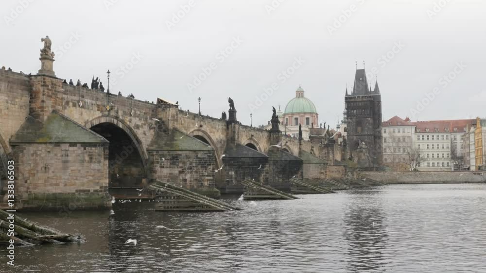 Famous Charles bridge over Vltava river in capital of Czechia 3840X2160 UHD footage - Czech Republic capital Prague Vltava river with seagulls flying 2160p UltraHD video Famous Charles bridge over Vltava river in capital of Czechia 3840X2160 UHD footage - Czech Republic capital Prague Vltava river with seagulls flying 2160p UltraHD video
