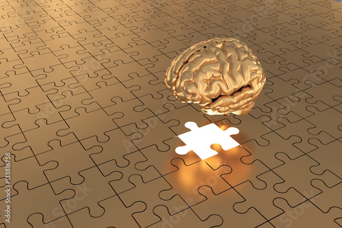 The Puzzle piece Brain missing Plane Gold