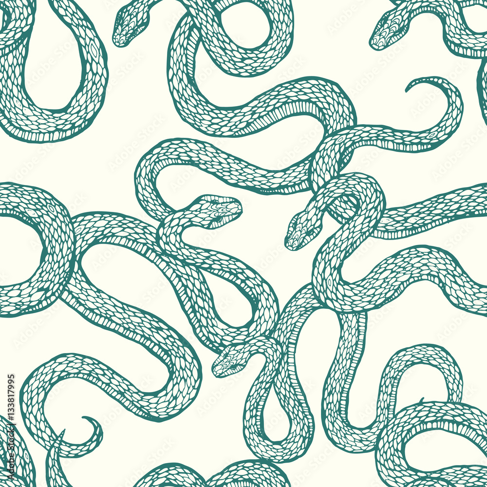 Fototapeta premium Snakes pattern