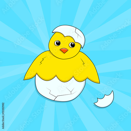 Chick in shell on a blue background. Little