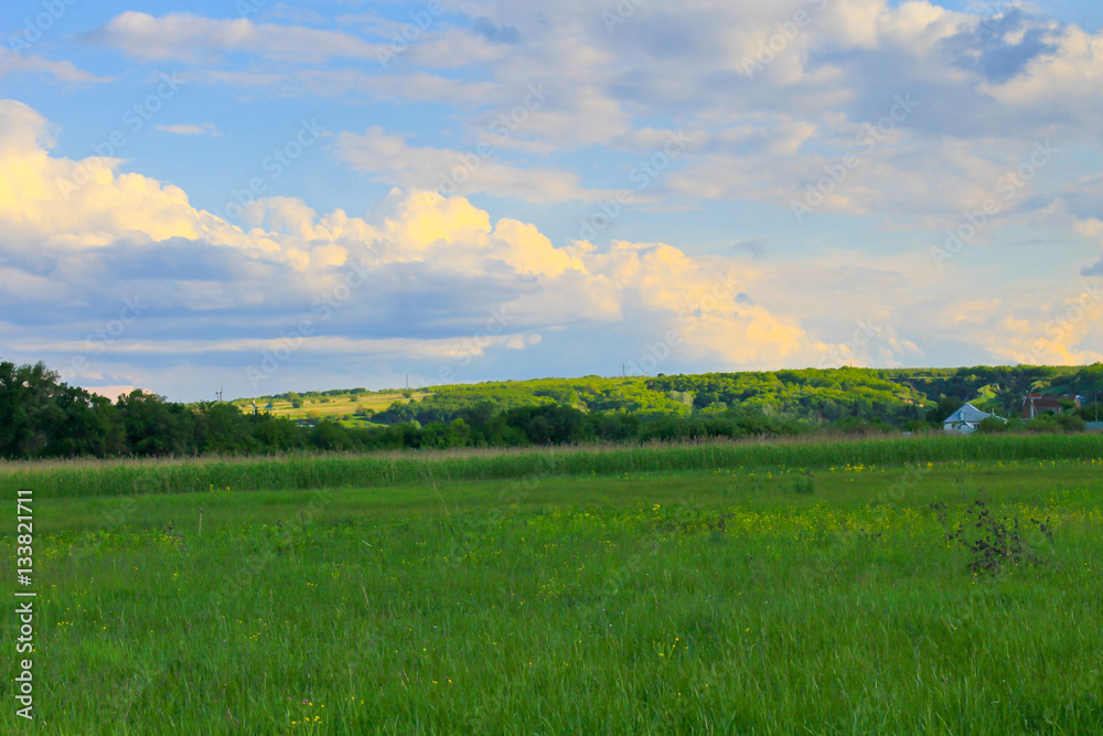 Green meadow and blue sky