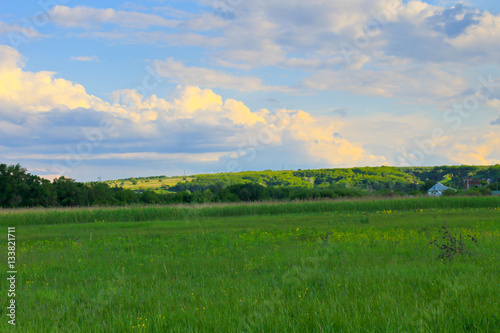 Green meadow and blue sky