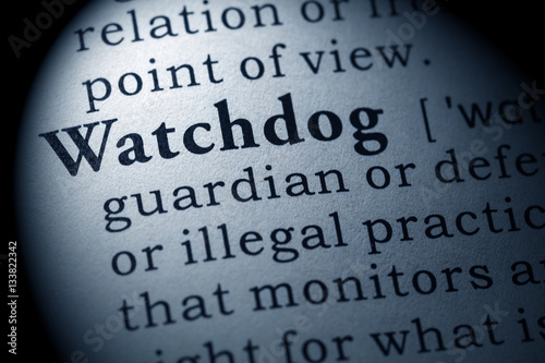 definition of watchdog photo