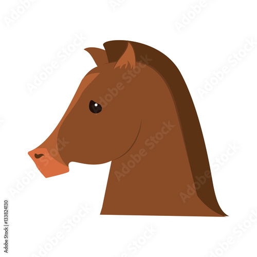 horse animal icon over white background. colorful design. vector illustration