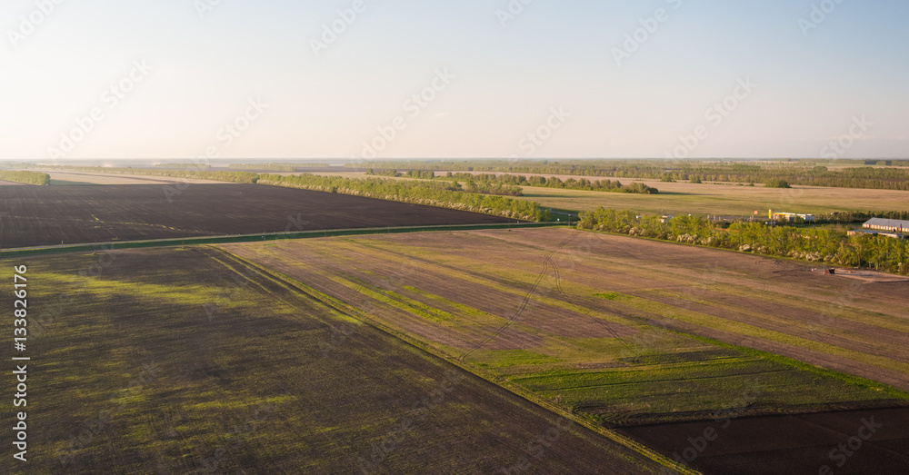 Countryside agricultural fields from bird's eye view