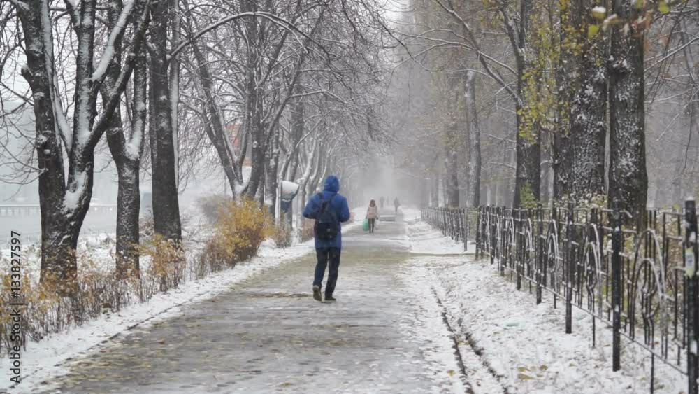 Pedestrians walking along snowy alley surrounded by trees, first winter day Pedestrians walking along snowy alley surrounded by trees, first winter day