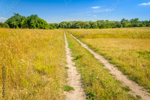 Field & Road