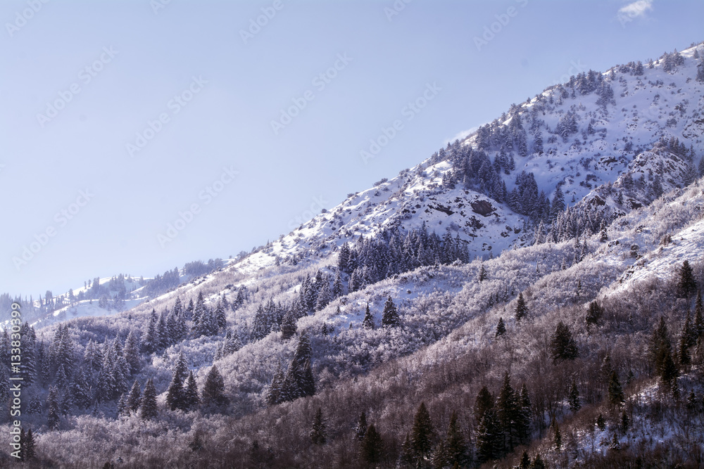 utah wasatch mountains in ogden just north of salt lake which is a popular vacation location for skiing snowboarding and winter sports