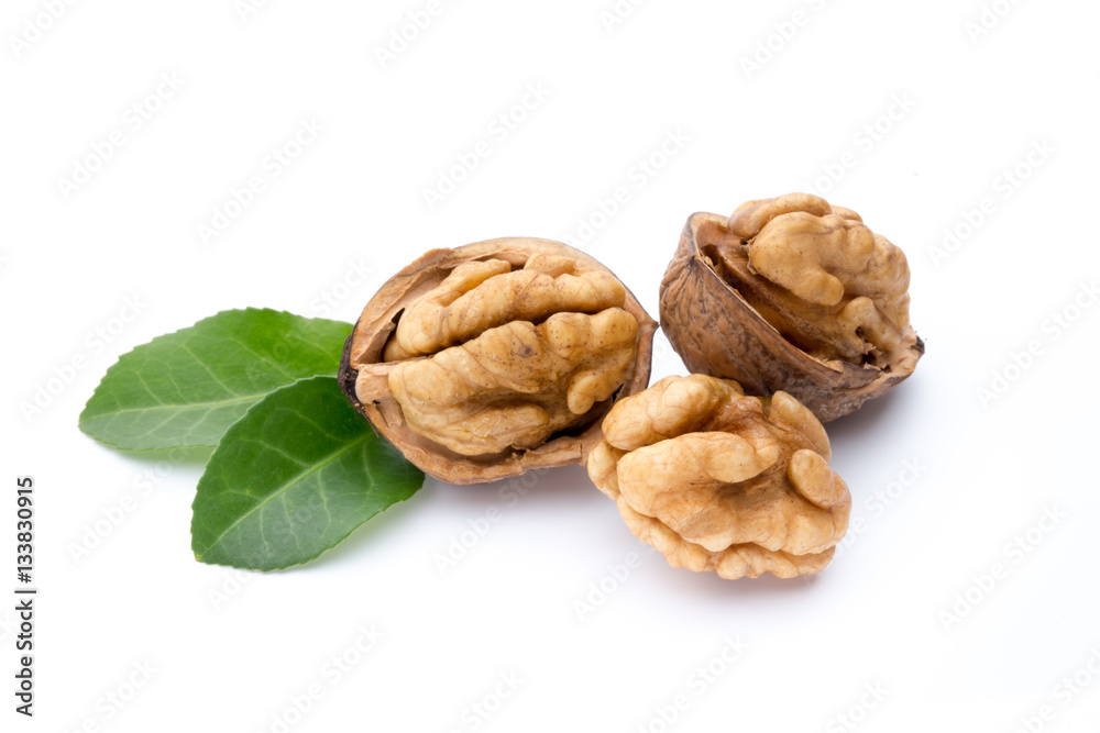 Walnut and walnut kernel isolated on the white background. Walnut and walnut kernel isolated on the white background.