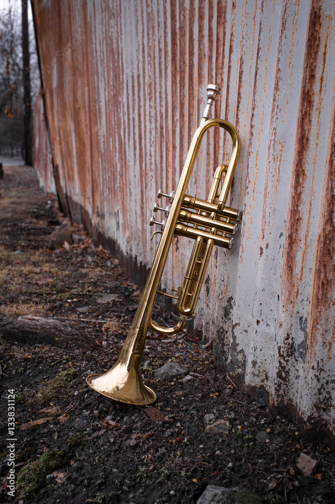 Fototapeta premium Trumpet Rusty Fence