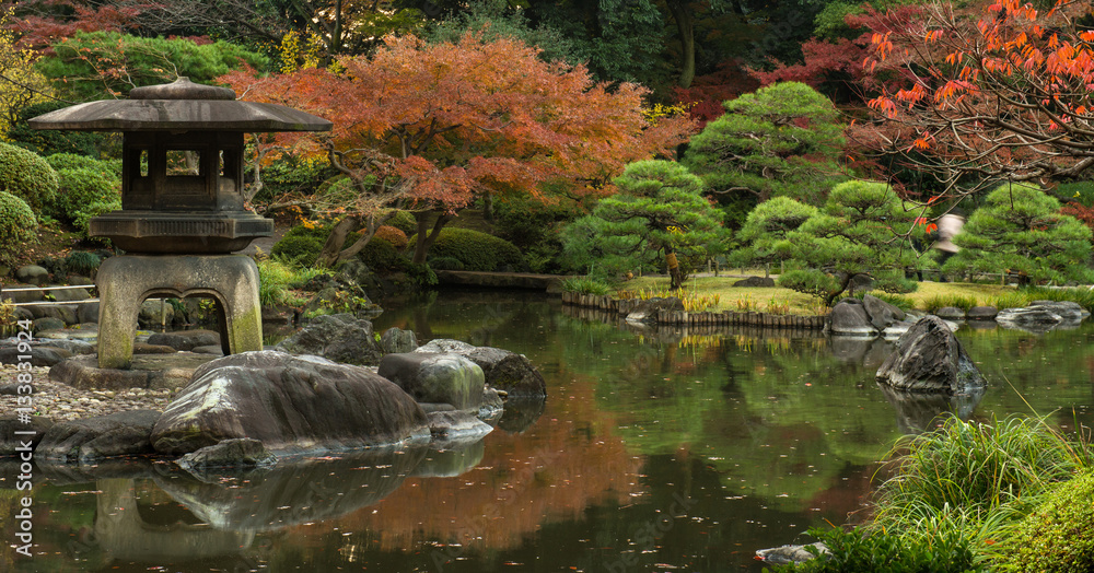 Naklejka premium Japanese garden in Tokyo