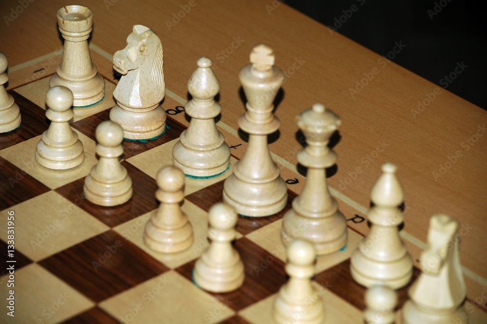 Chess on a wooden board Chess on a wooden board
