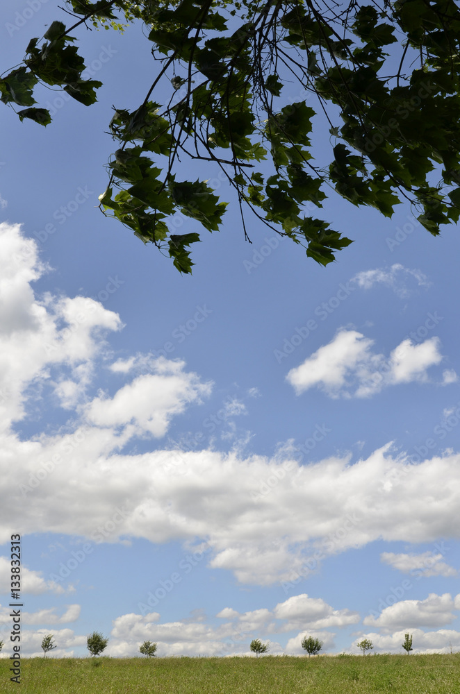 Obraz premium leichte sommerlandschaft