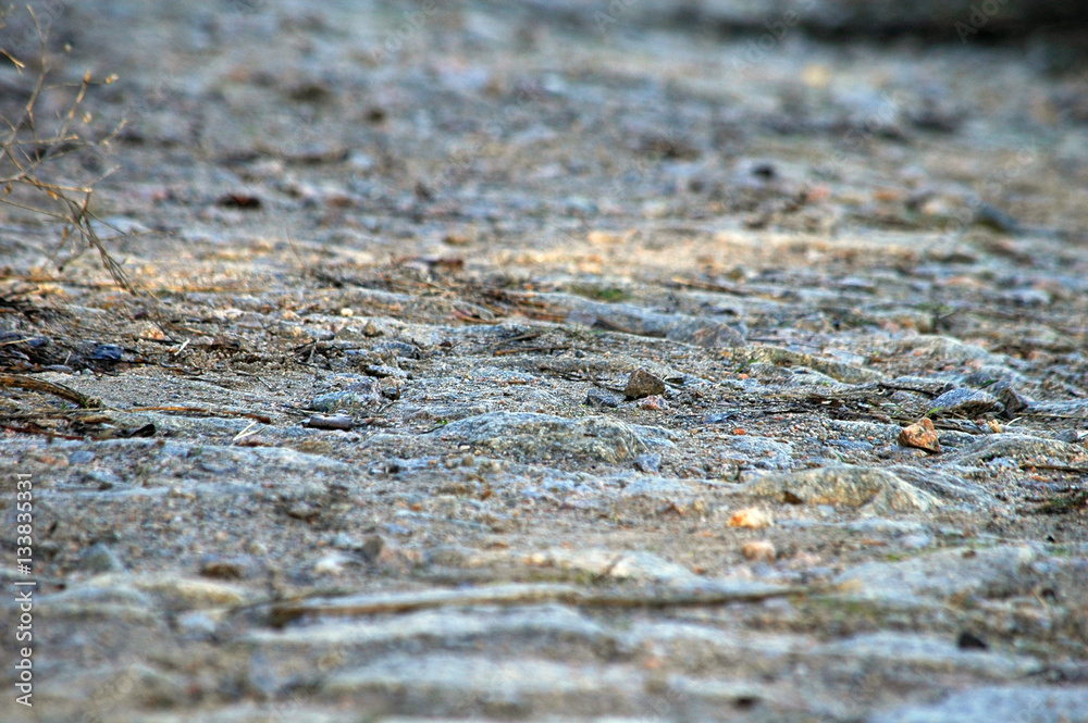 Stone texture on trailway background Stone texture on trailway background