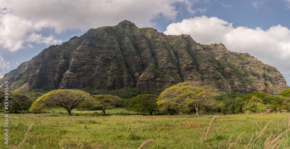 custom made wallpaper toronto digitalHawaii, Oahu, Honolulu, Jurassic Park, Kualoa Ranch, Berge, Küste, Ostküste, Panorama
