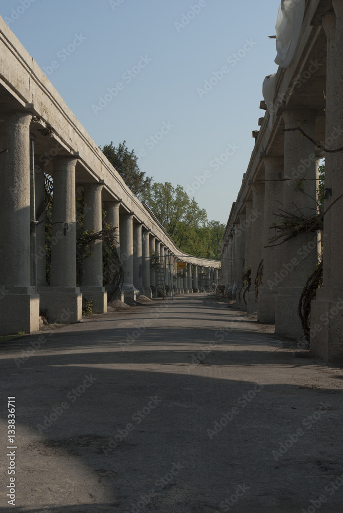 pergola we Wrocławiu