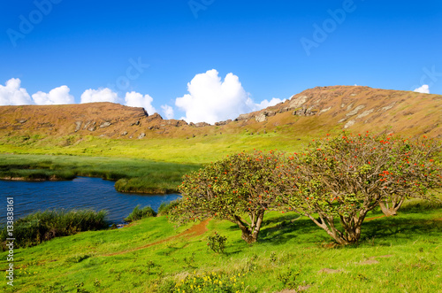 Lake and Trees