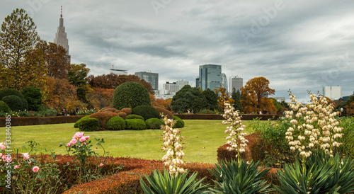 Japanese garden in Tokyo