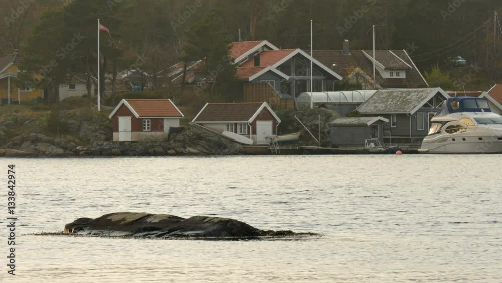 Ocean stone at Flekkerøya - Kristiansand - Norway Ocean stone at Flekkerøya - Kristiansand - Norway