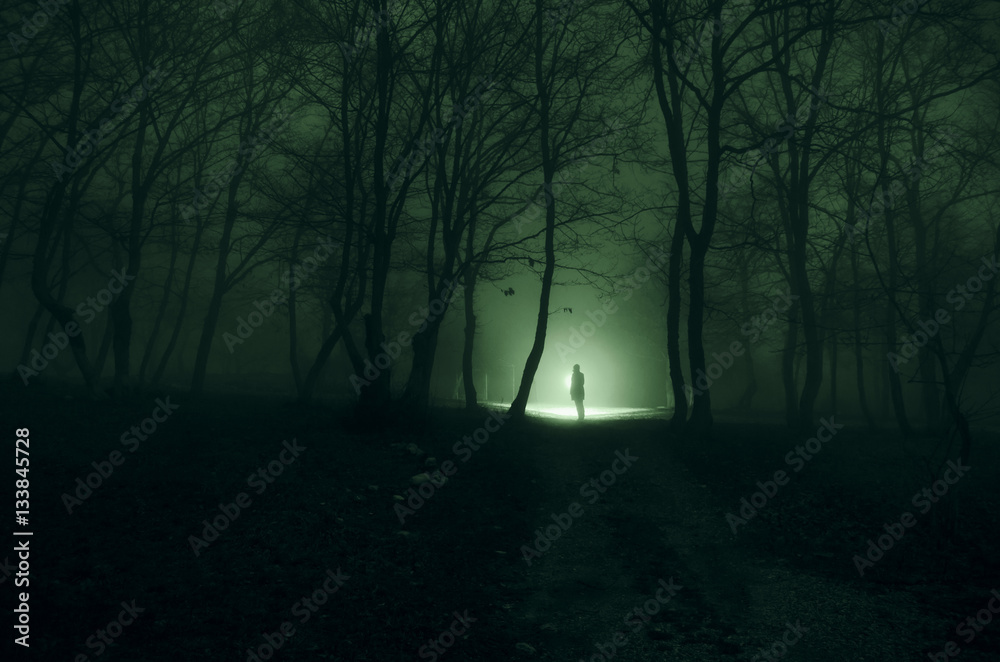 Fototapeta premium Alone girl with the light in the forest at night, or blue toned