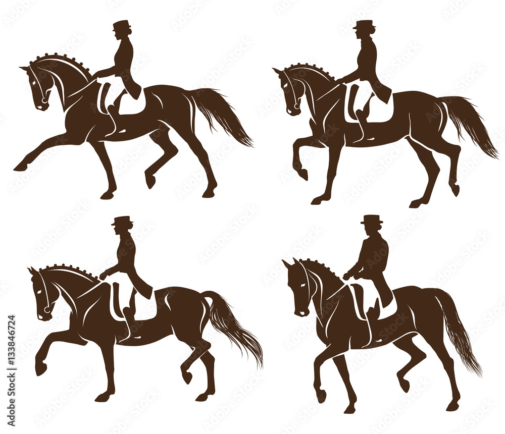 4 detailed silhouettes of horses with rider performing dressage 4 detailed silhouettes of horses with rider performing dressage