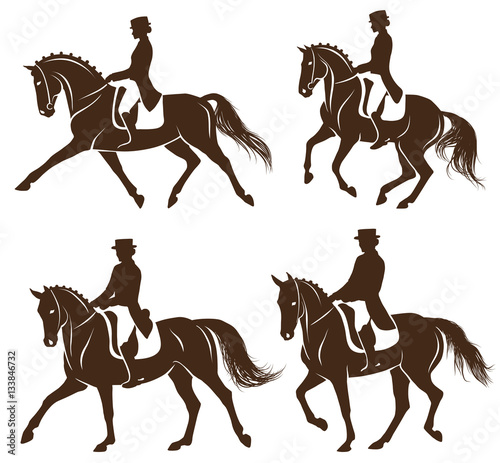 Set of dressage horses with rider © AnMyArt