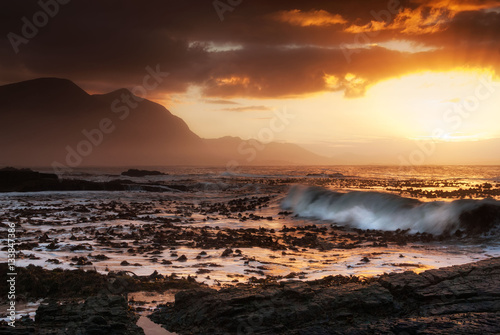 Hermanus, South Africa - Waves hit coastal kelp with golden suns
