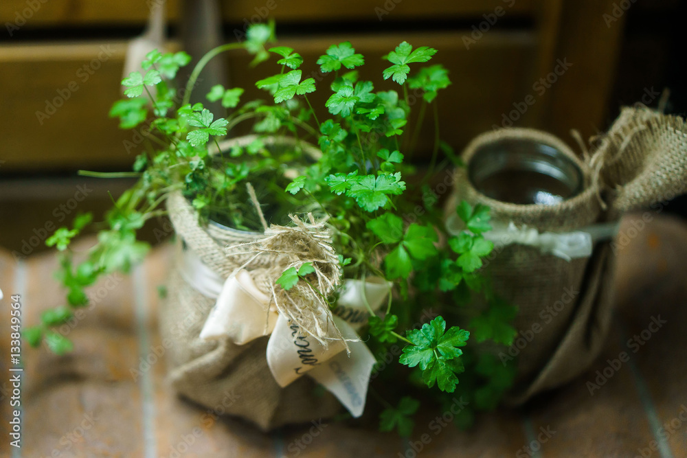 green parsley herb in a beautiful jar green parsley herb in a beautiful jar