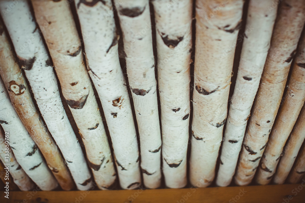 Obraz premium birch logs lot